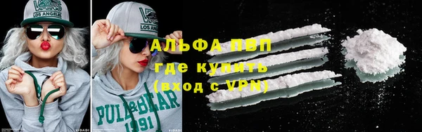 прущие грибы Волоколамск