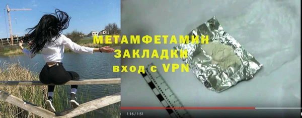 прущие грибы Волоколамск