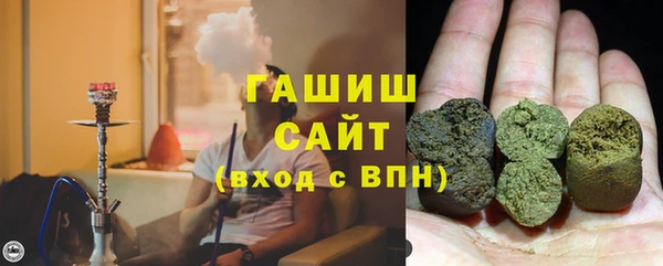 прущие грибы Волоколамск