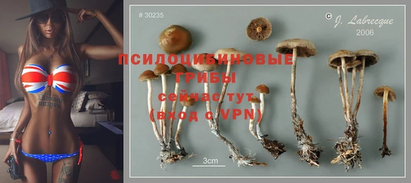 спайс Волосово