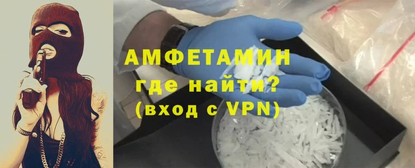 прущие грибы Волоколамск