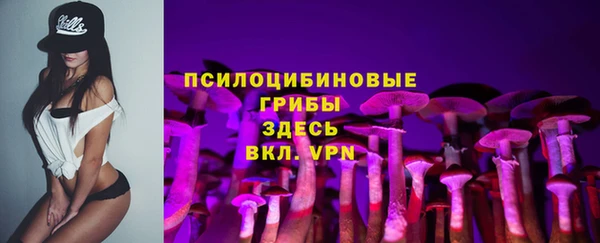 прущие грибы Волоколамск