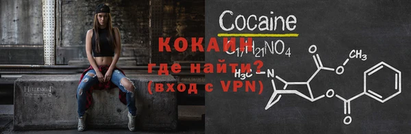 прущие грибы Волоколамск