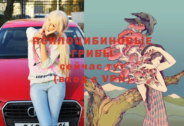 прущие грибы Волоколамск