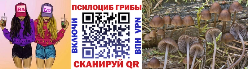Псилоцибиновые грибы Psilocybe  цена наркотик  Лысково 