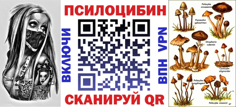 Галлюциногенные грибы Psilocybe Лысково